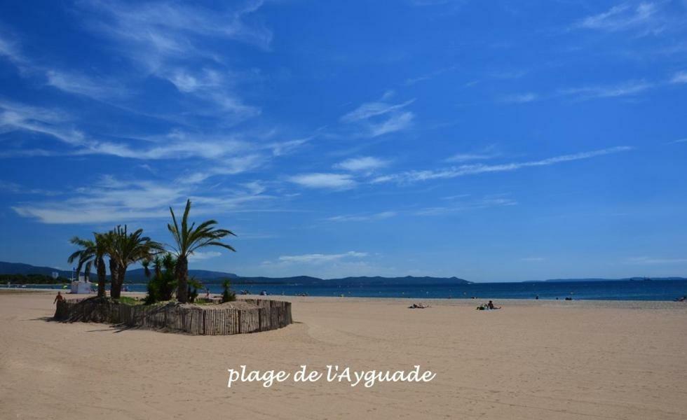 Plage A 400 M Studio Tout Confort Terrasse Clim Parking Hyères Exterior foto